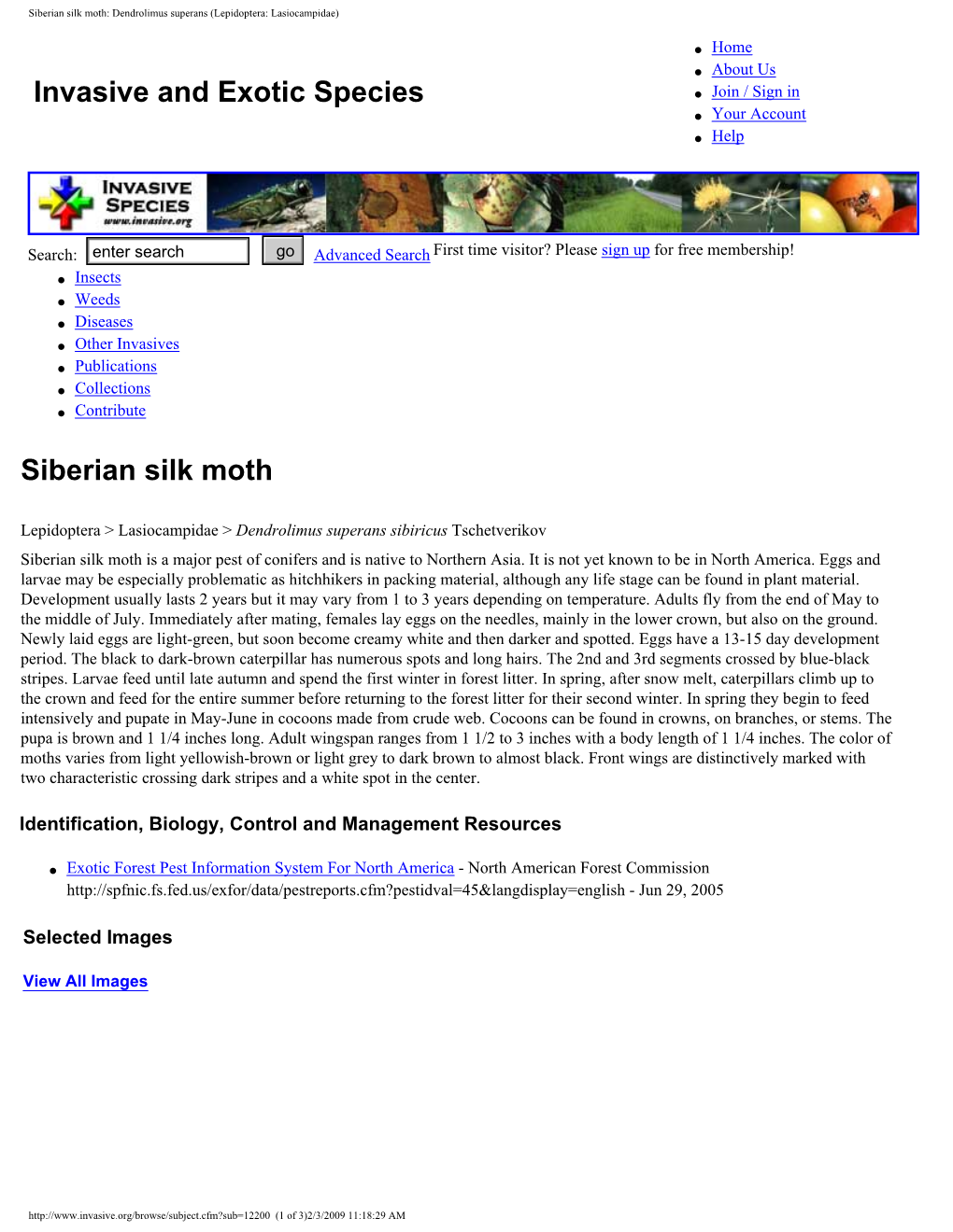 Forestry Pest Alert: Siberian Silk Moth: Dendrolimus Superans