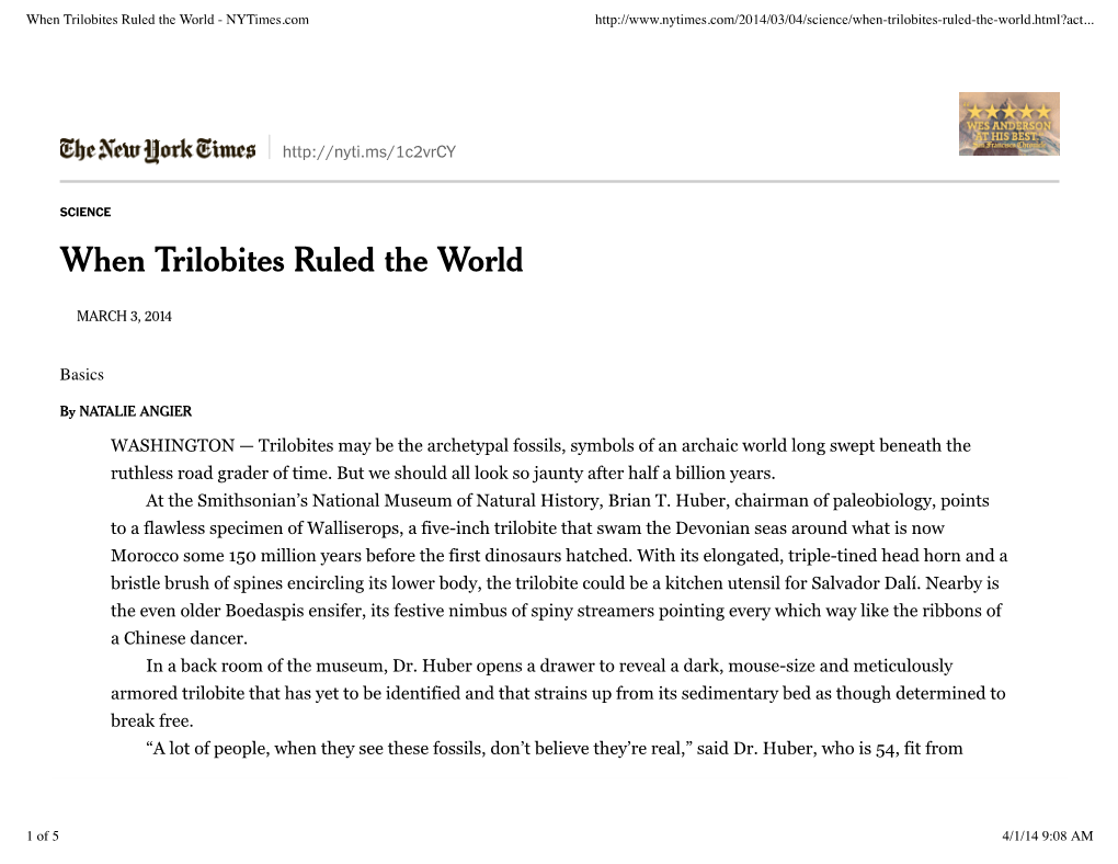 When Trilobites Ruled the World - Nytimes.Com