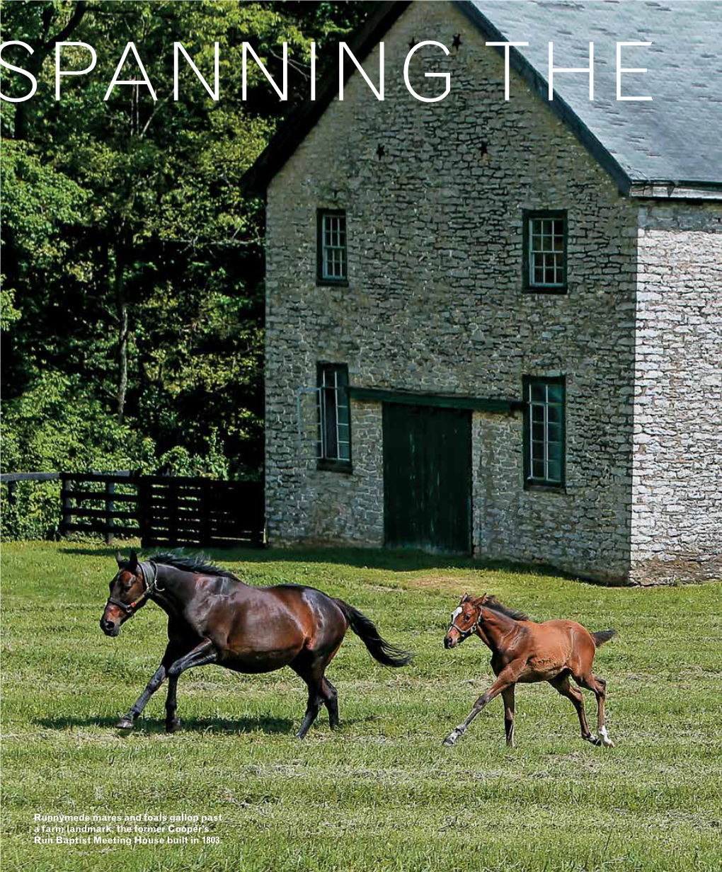 38 WINTER 2017 K KEENELAND.COM Runnymede Mares and Foals Gallop Past a Farm Landmark, the Former Cooper's Run Baptist Meeting