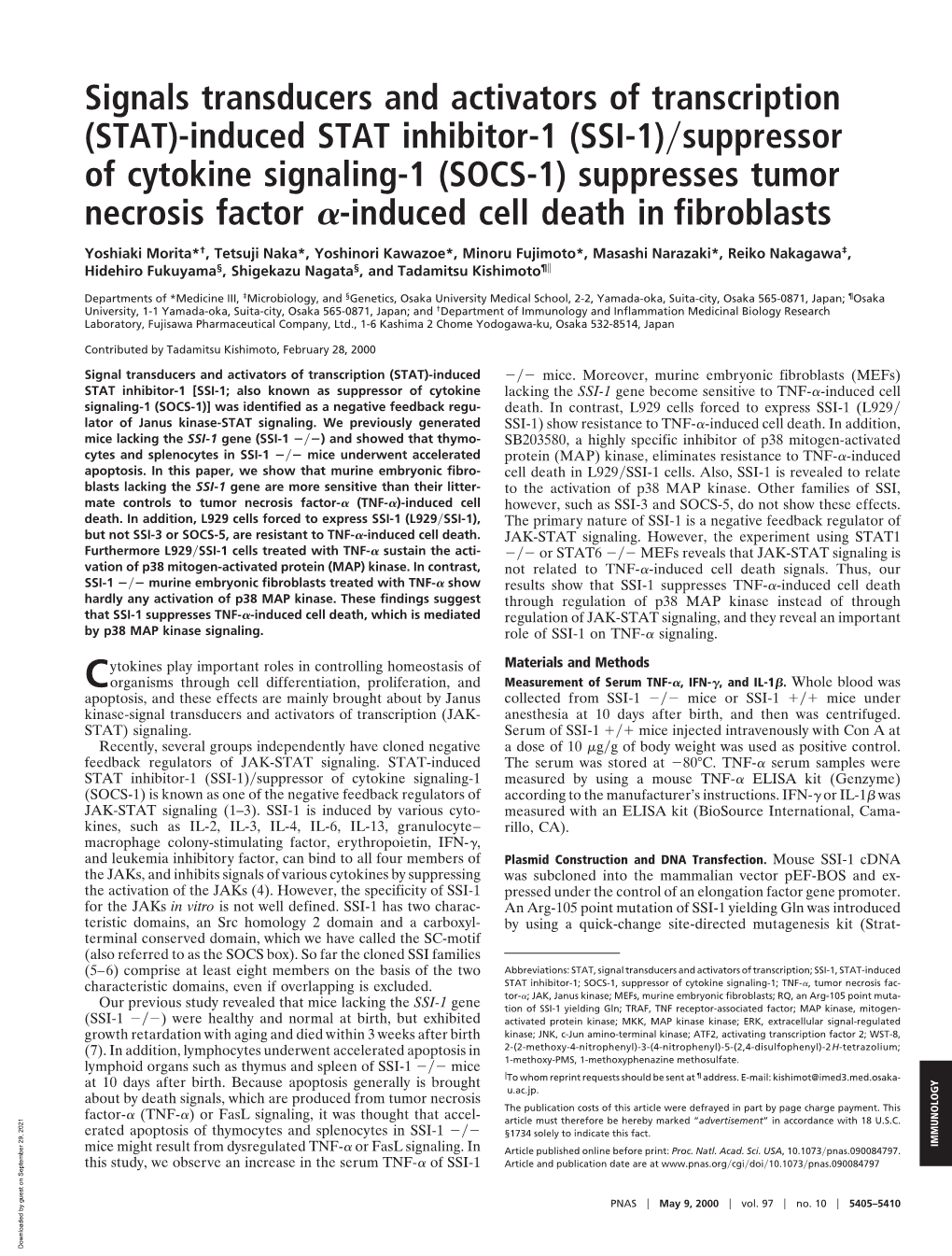 Suppressor of Cytokine Signaling-1 (SOCS-1) Suppresses Tumor Necrosis Factor ␣-Induced Cell Death in Fibroblasts
