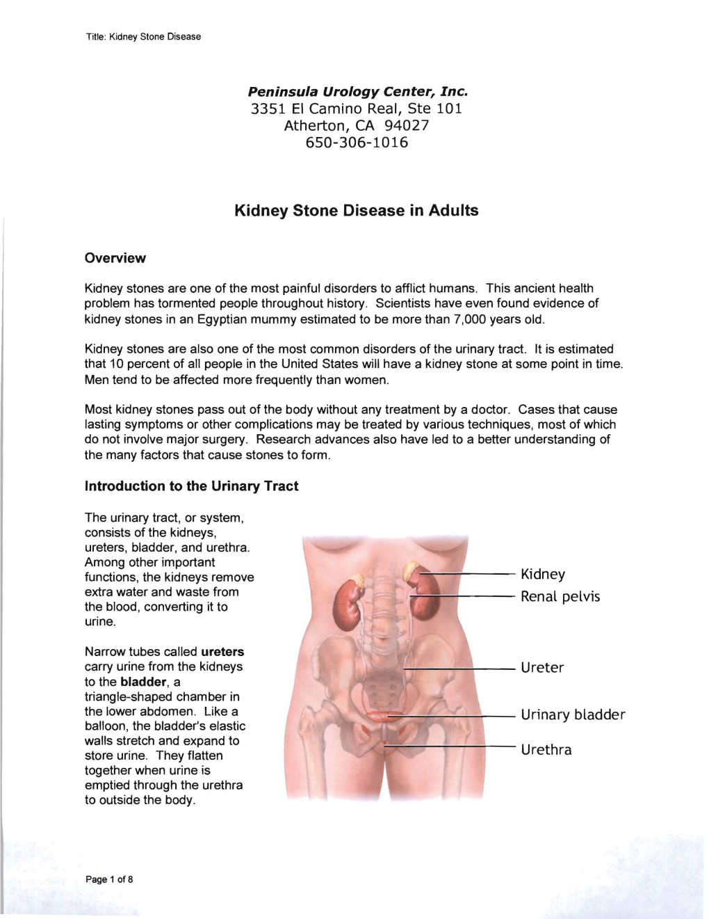 Kidney Stone Disease