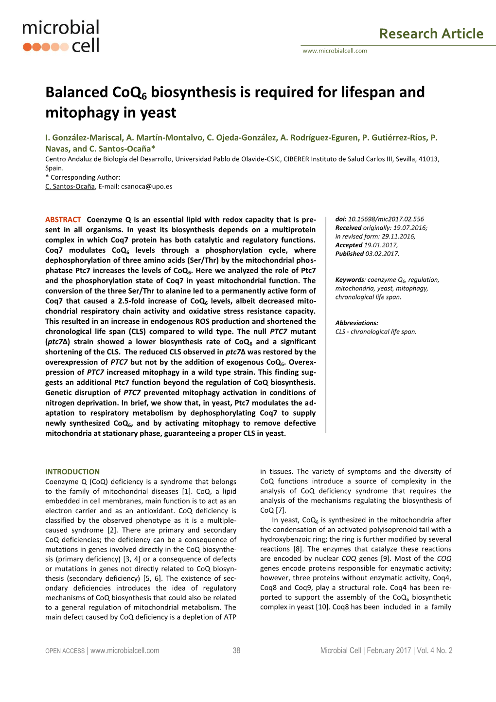 Balanced Coq6 Biosynthesis Is Required for Lifespan and Mitophagy in Yeast