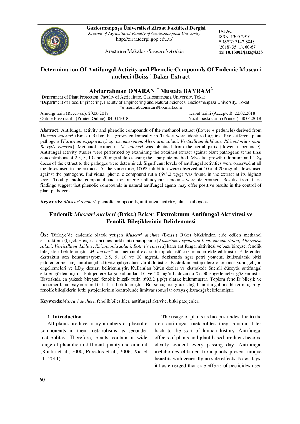 Determination of Antifungal Activity and Phenolic Compounds of Endemic Muscari Aucheri (Boiss.) Baker Extract