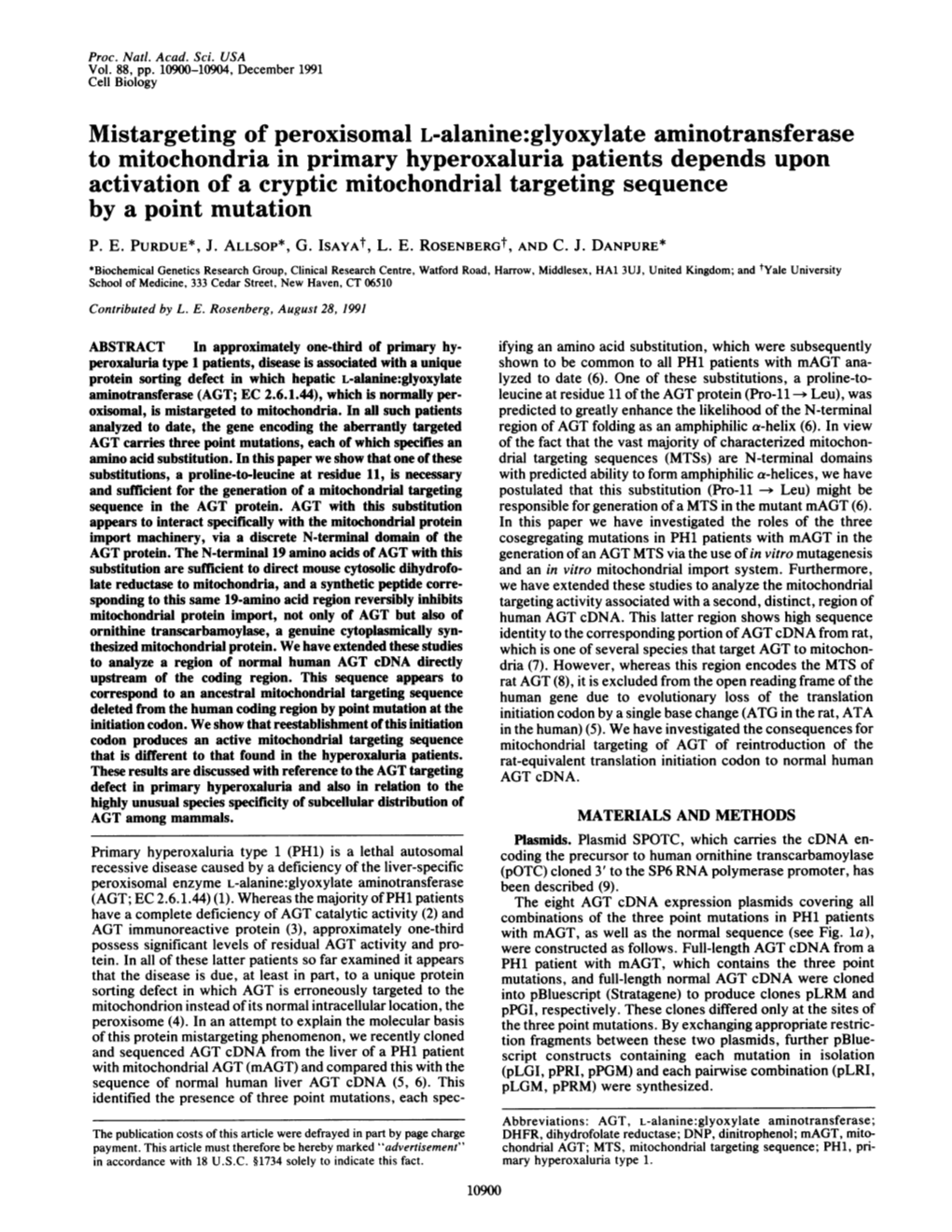 To Mitochondria in Primary Hyperoxaluria Patients Depends Upon Activation of a Cryptic Mitochondrial Targeting Sequence by a Point Mutation P