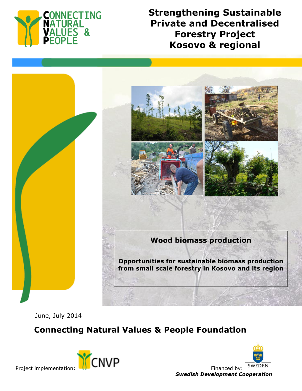 Strengthening Sustainable Private and Decentralised Forestry Project