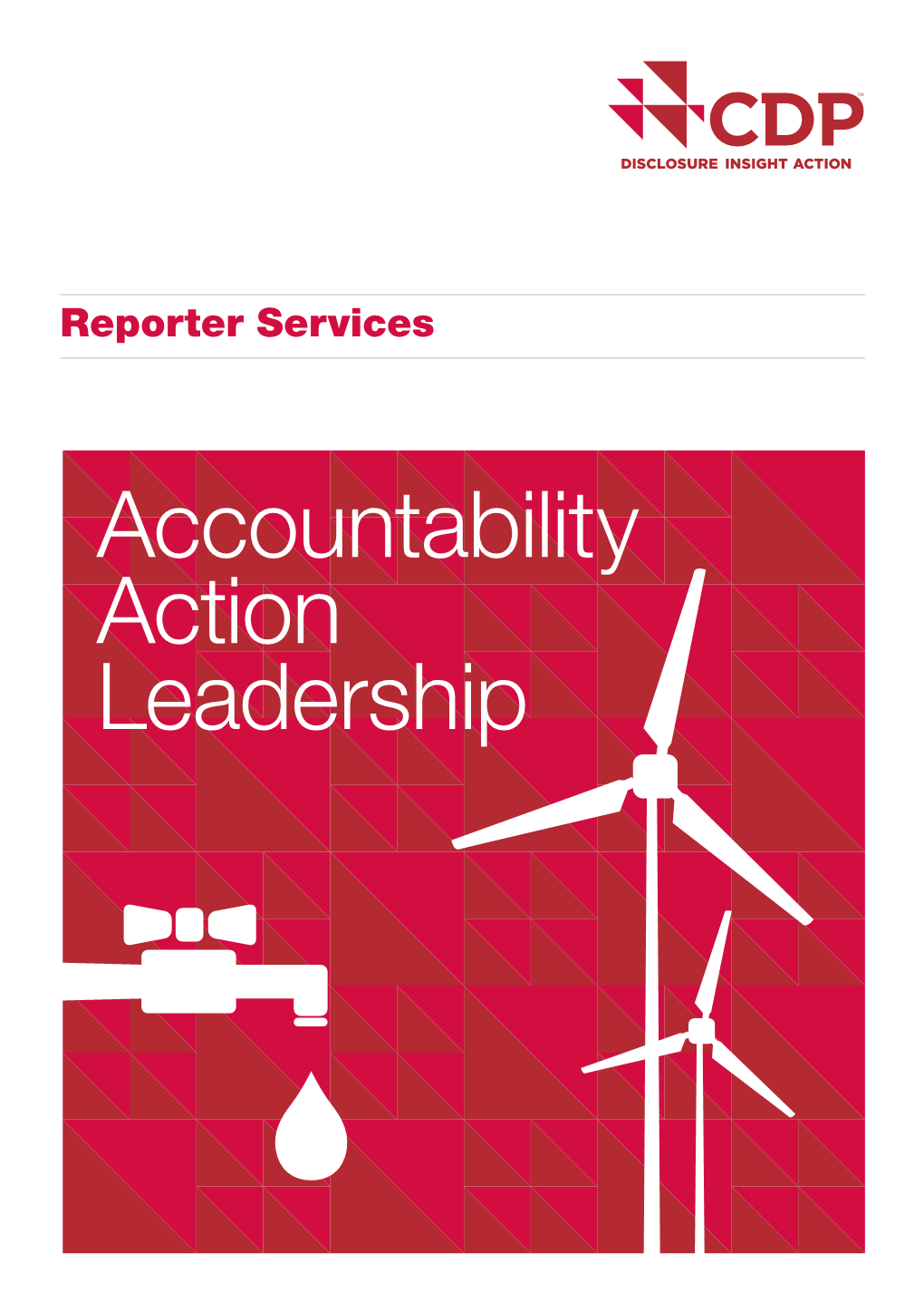 Accountability Action Leadership How Can CDP Help?