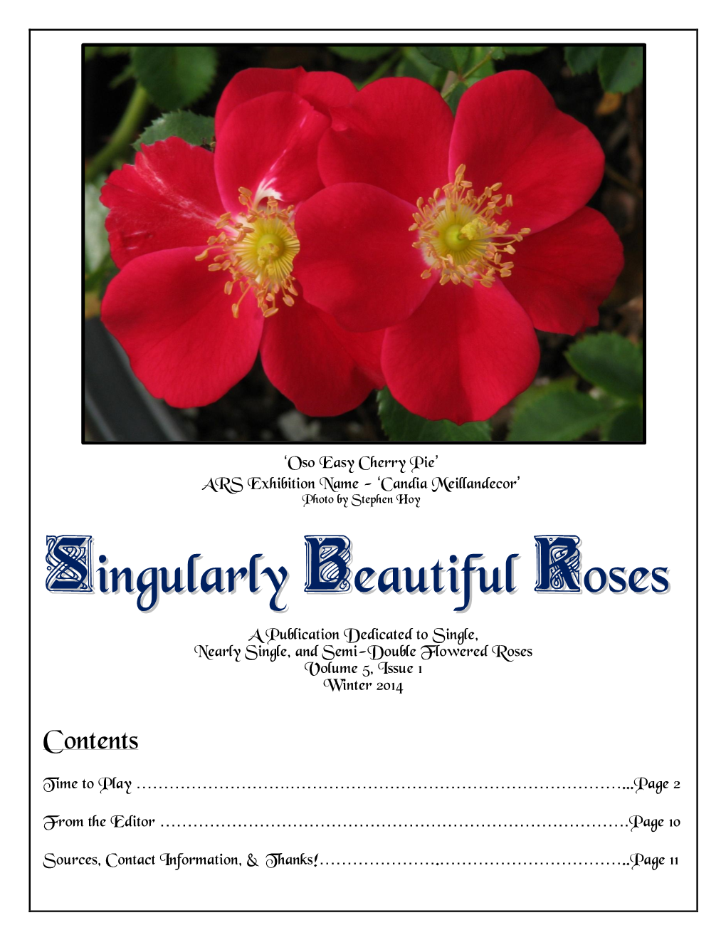 Singularly Beautiful Roses