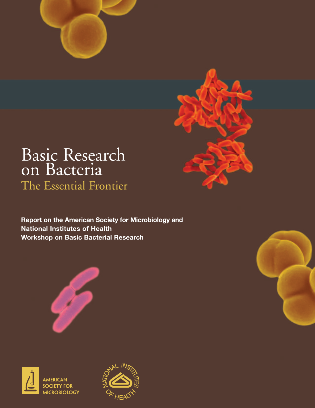 Basic Research on Bacteria the Essential Frontier
