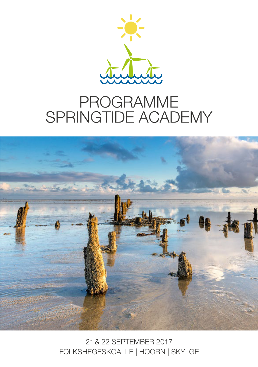 Programme Springtide Academy