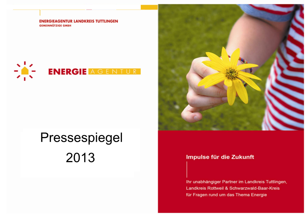 Pressespiegel 2013