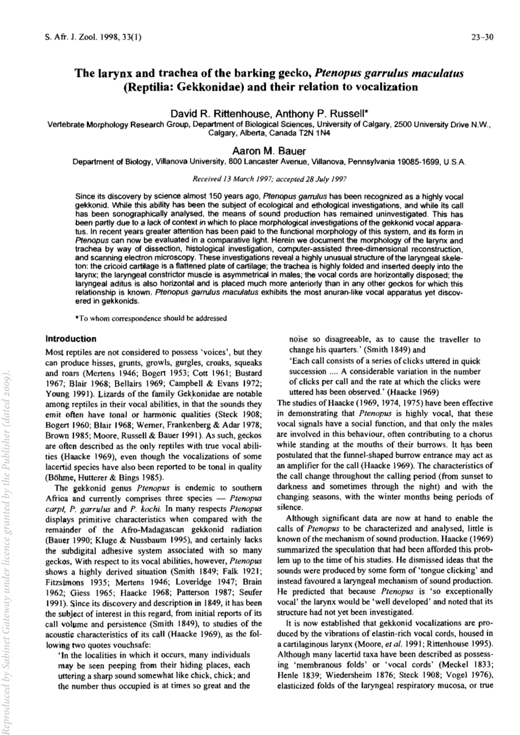 The Larynx and Trachea of the Barking Gecko, Ptenopus Garrulus Maculatus (Reptilia: Gekkonidae) and Their Relation to Vocalization