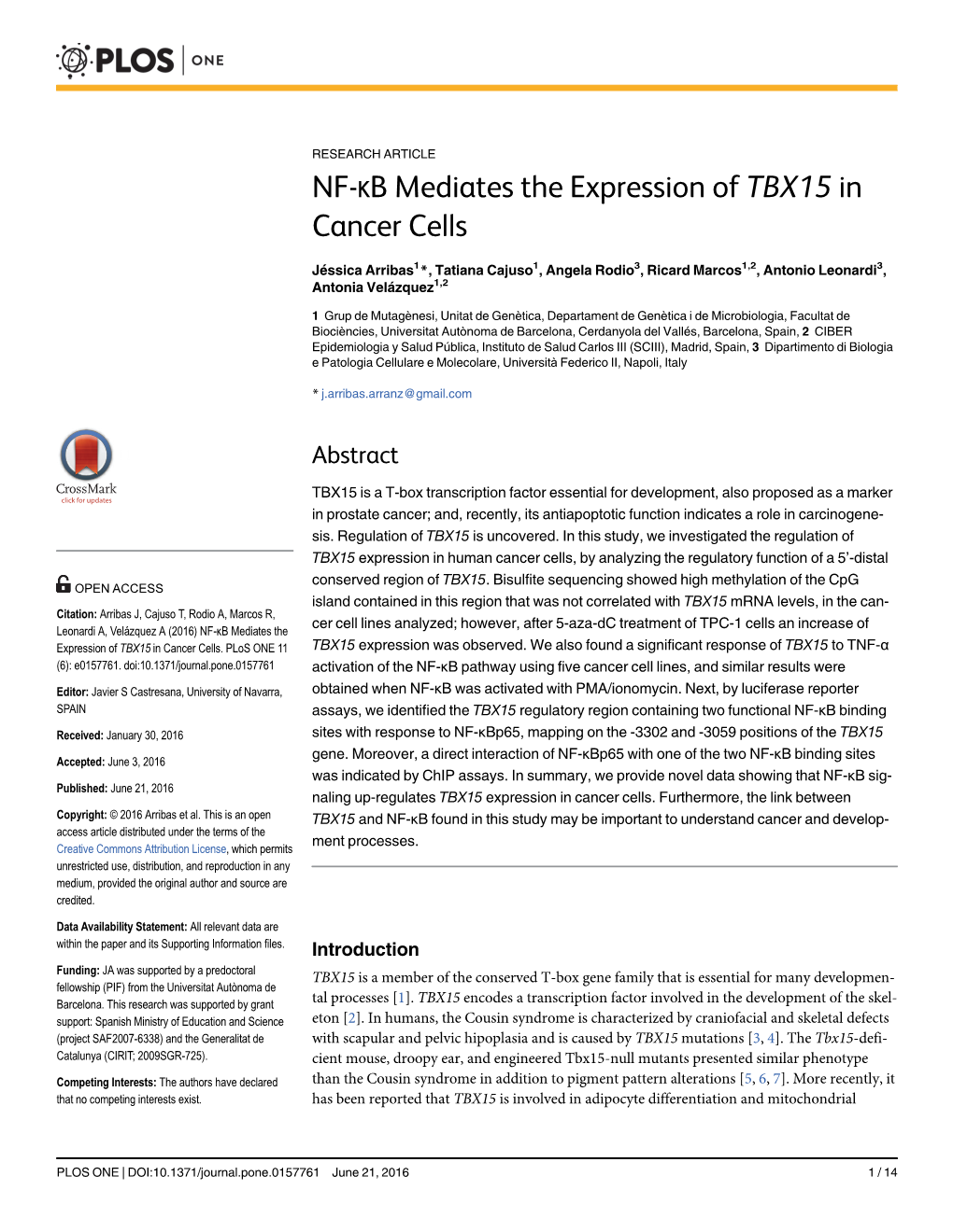 NF-Κb Mediates the Expression of TBX15 in Cancer Cells