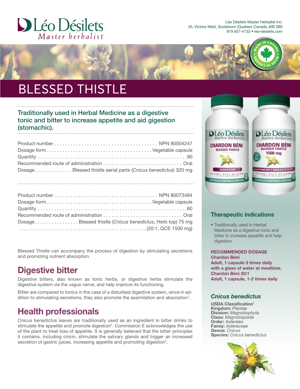 Blessed Thistle