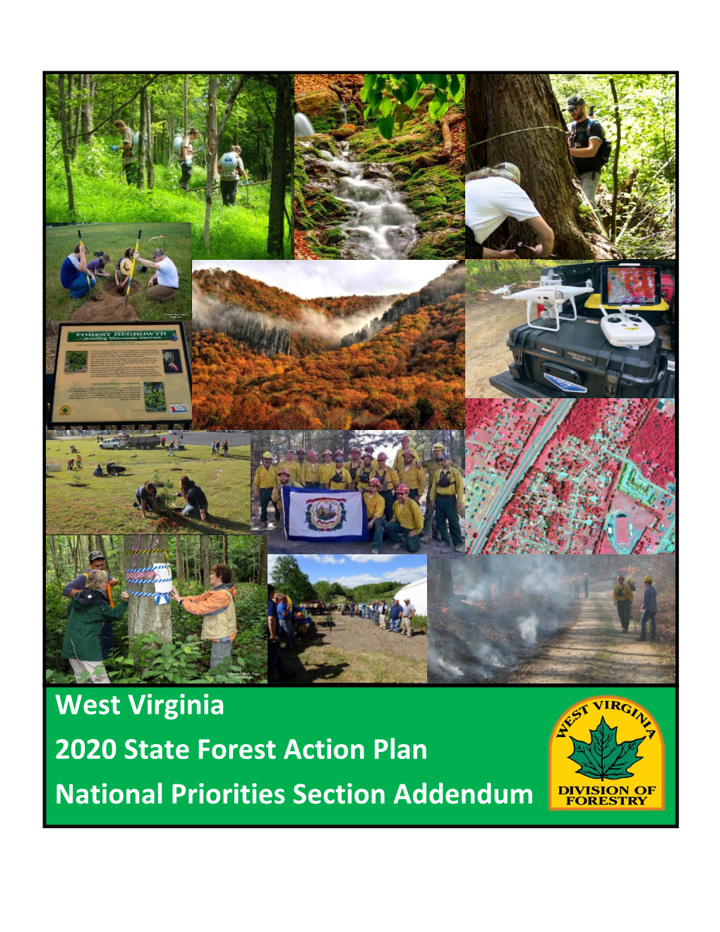 West Virginia 2020 State Forest Action Plan National Priorities Section