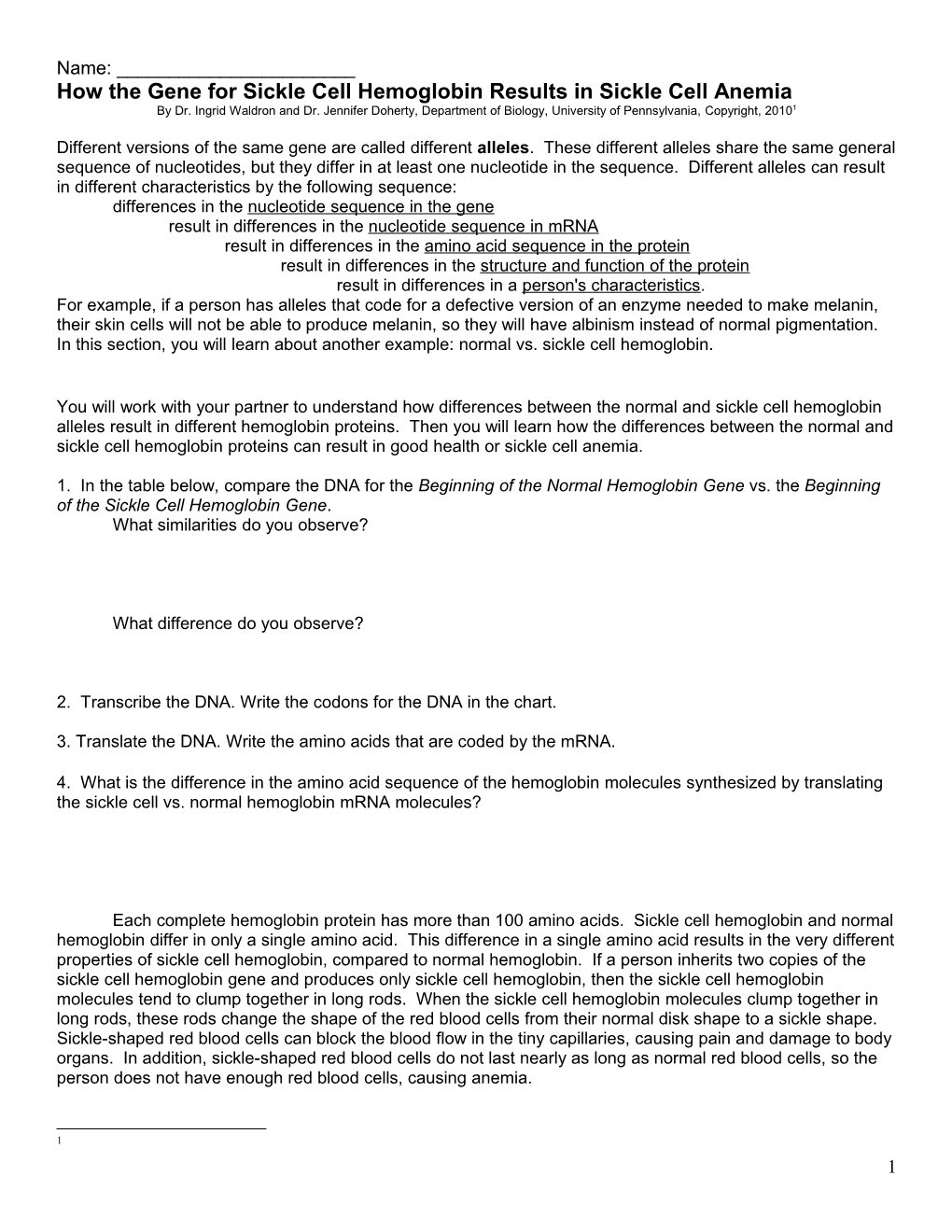 How the Gene for Sickle Cell Hemoglobin Results in Sickle Cell Anemia