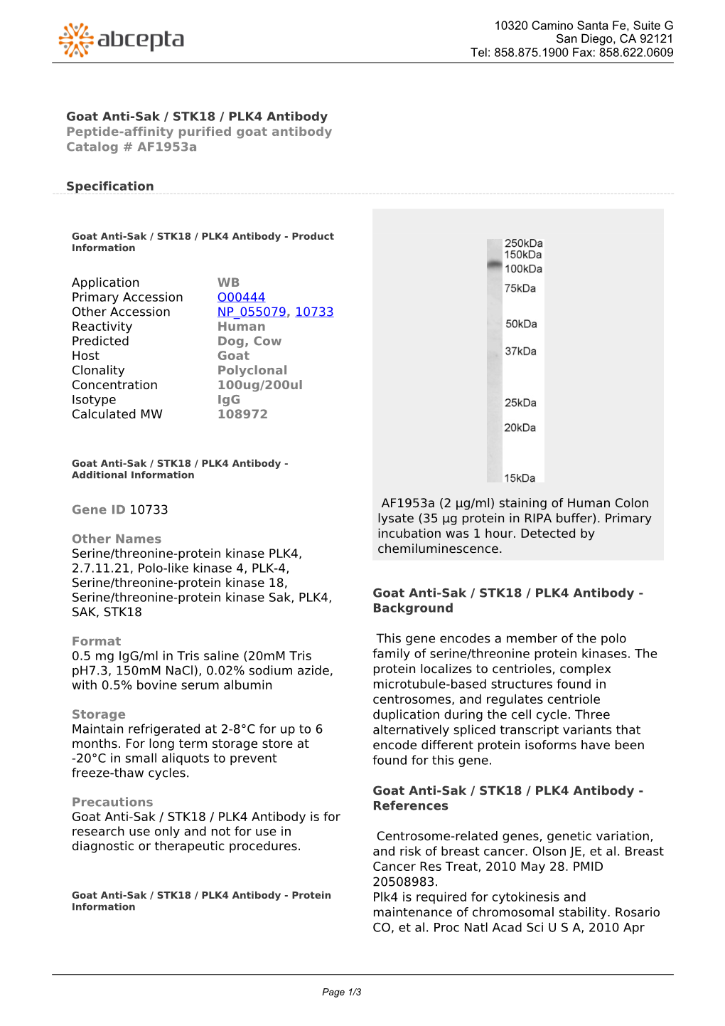 Goat Anti-Sak / STK18 / PLK4 Antibody Peptide-Affinity Purified Goat Antibody Catalog # Af1953a