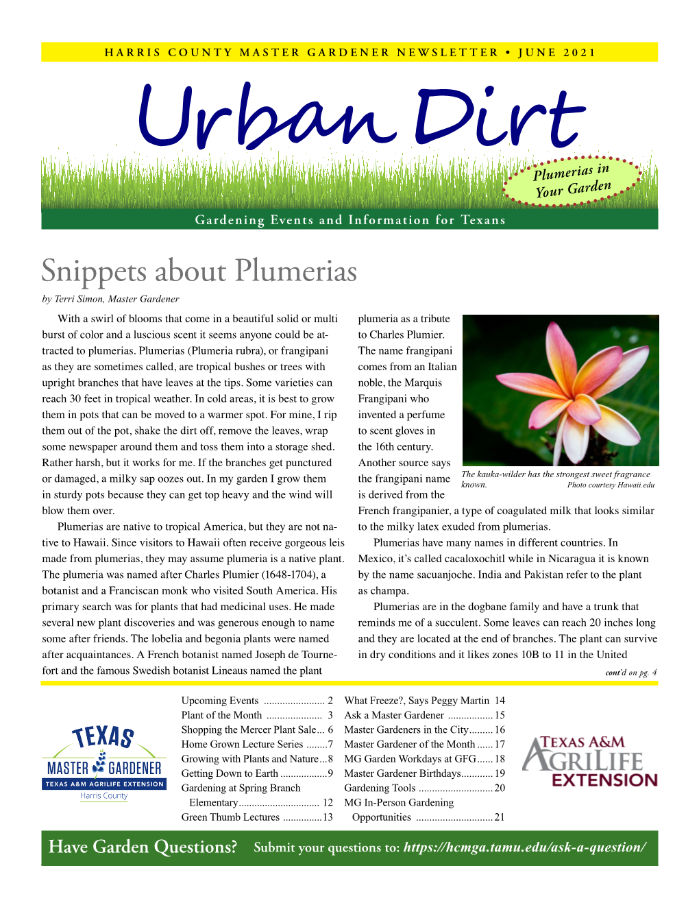 June 2021 Urban Dirt Newsletter