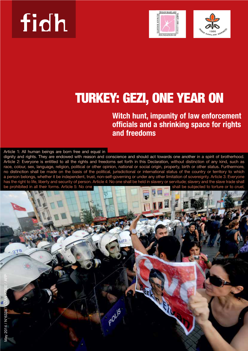 Turkey: Gezi, One Year on Witch Hunt, Impunity of Law Enforcement Officials and a Shrinking Space for Rights and Freedoms