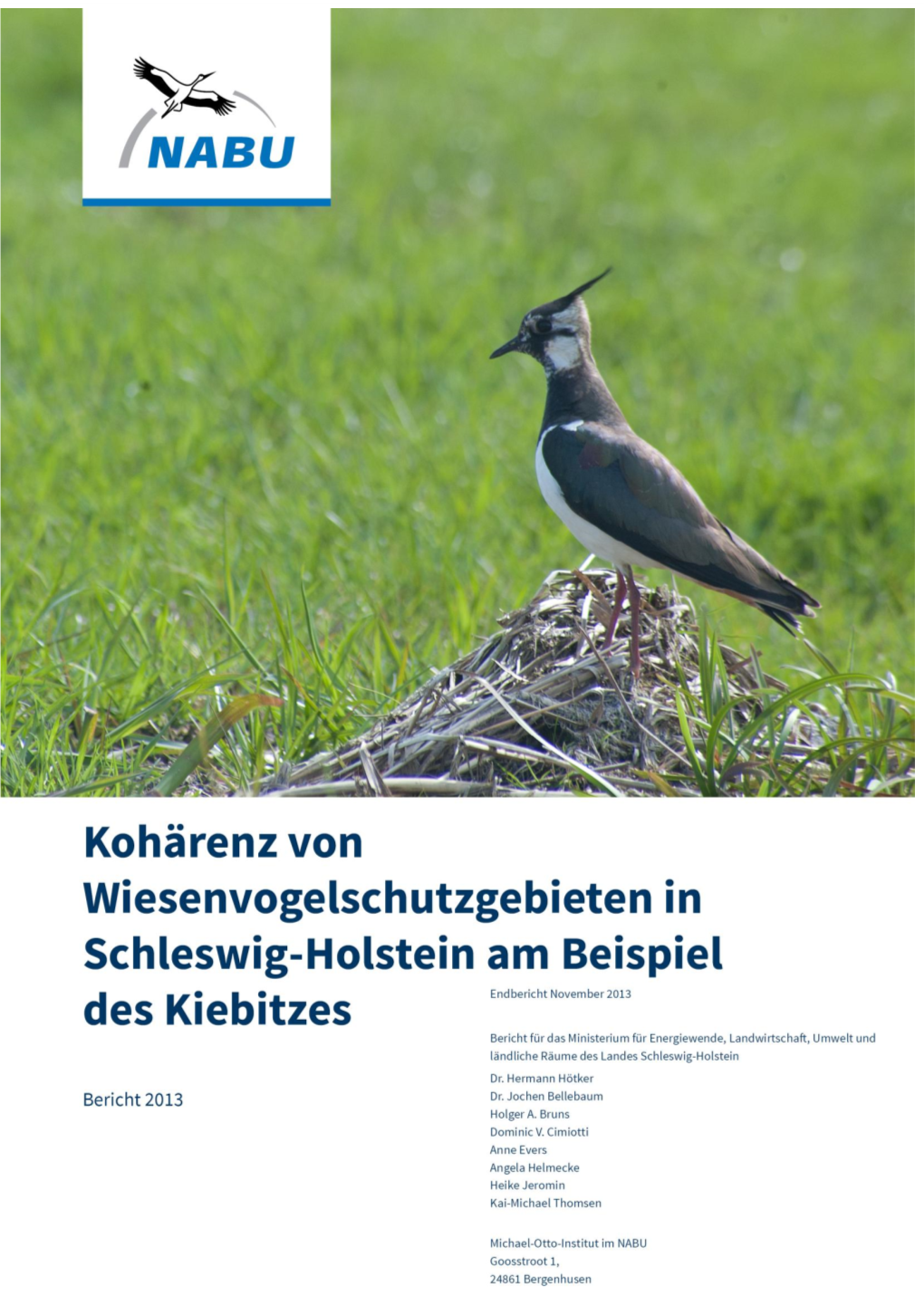 Kiebitz-Bericht 2013
