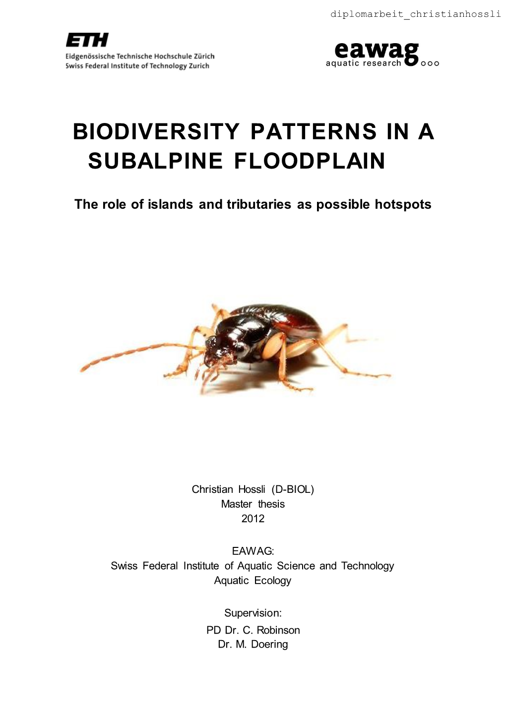 Biodiversity Patterns in a Subalpine Floodplain