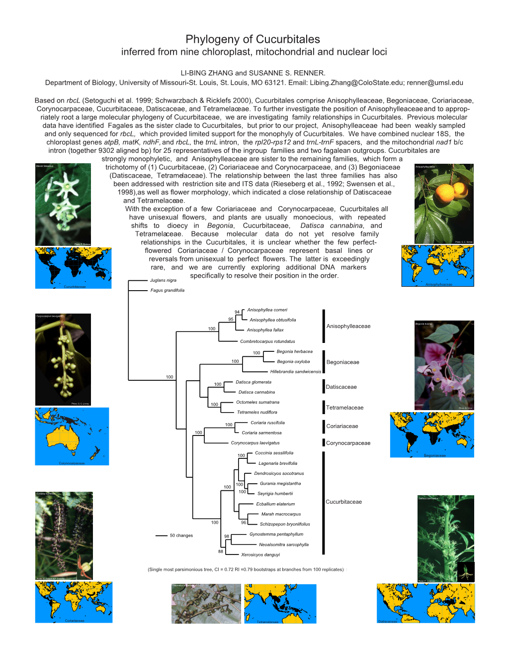Phylogeny of Cucurbitales Inferred from Nine Chloroplast, Mitochondrial and Nuclear Loci