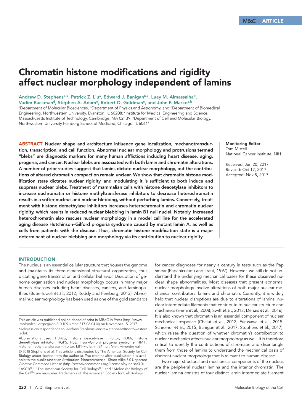 Chromatin Histone Modifications and Rigidity Affect Nuclear Morphology Independent of Lamins