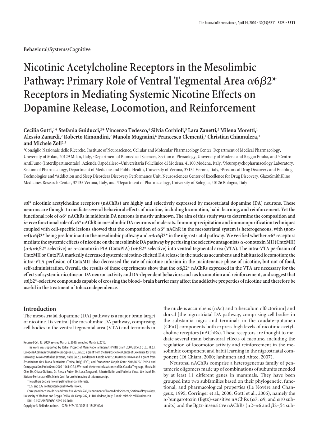 Nicotinic Acetylcholine Receptors in the Mesolimbic Pathway