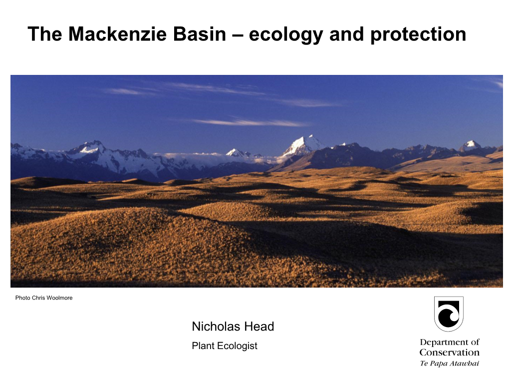 The Mackenzie Basin – Ecology and Protection