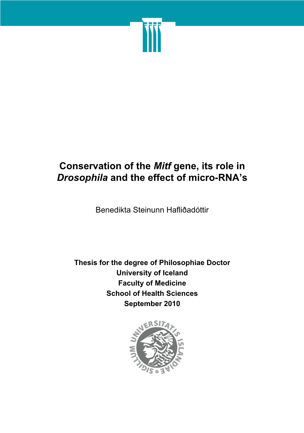 Conservation of the Mitf Gene, Its Role in Drosophila and the Effect of Micro-RNA’S