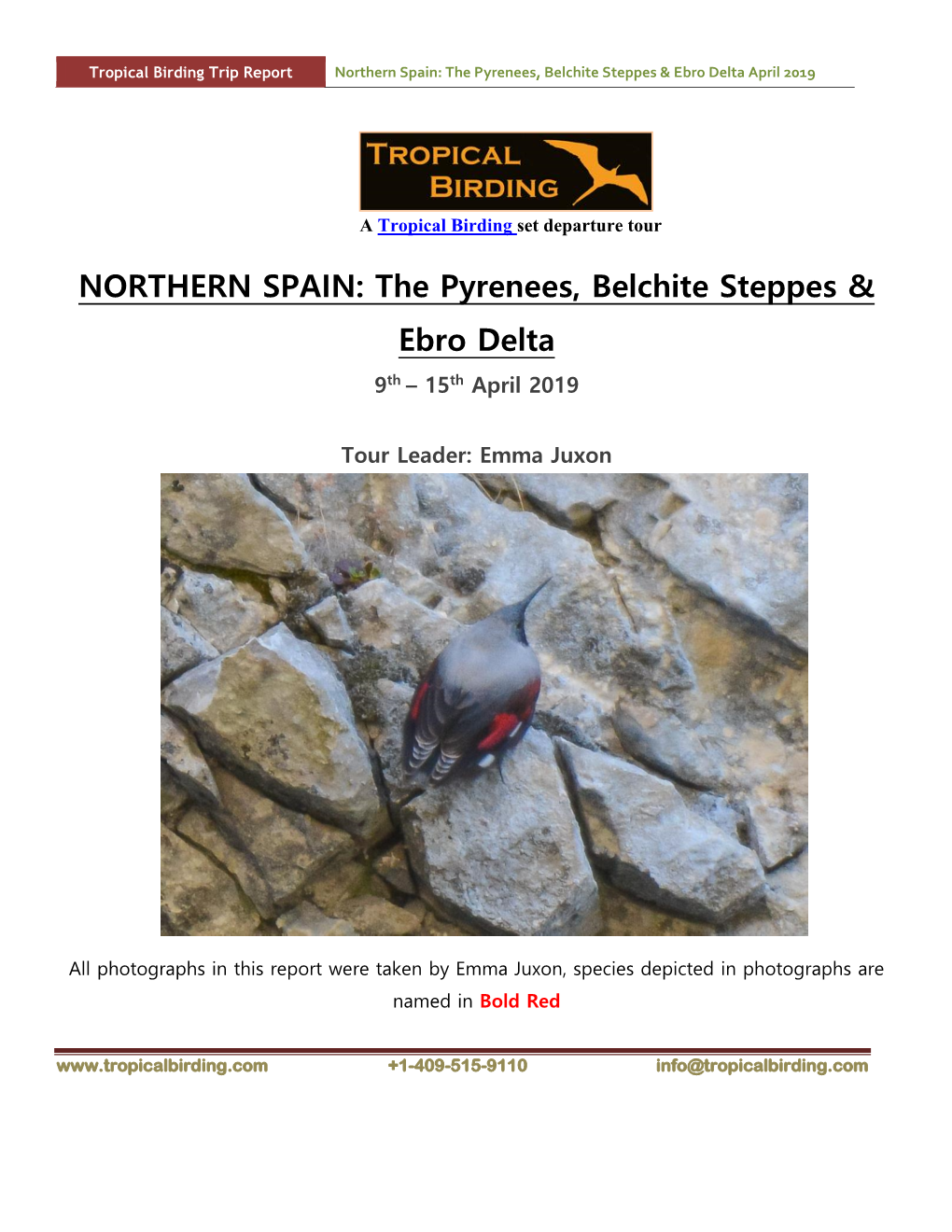 NORTHERN SPAIN: the Pyrenees, Belchite Steppes & Ebro Delta