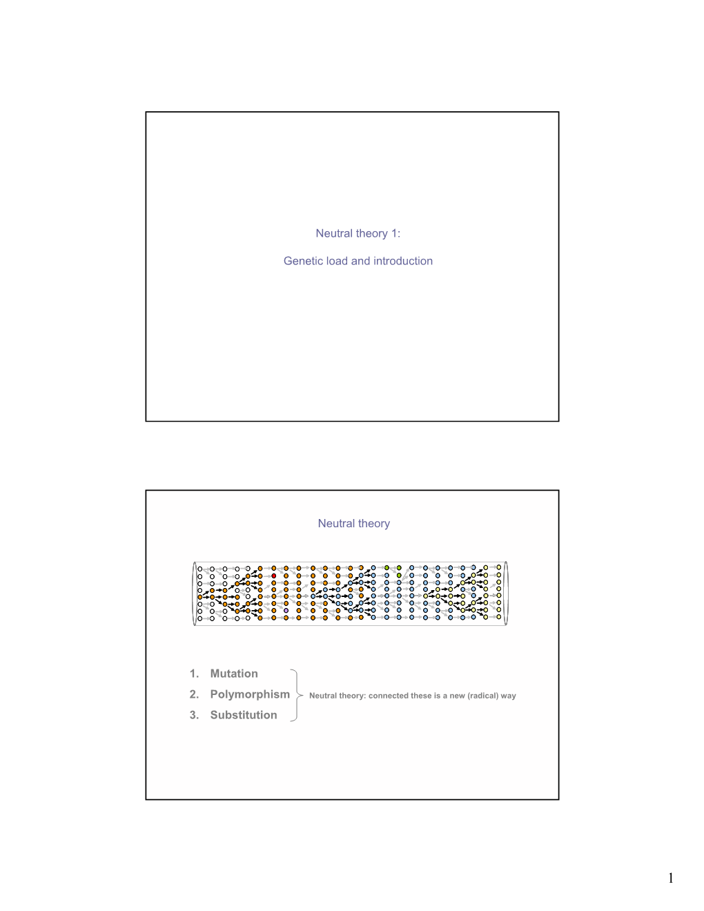 Genetic Load and Introduction Neutral Theory 1. Mutation 2. Polymorphism 3. Substitution