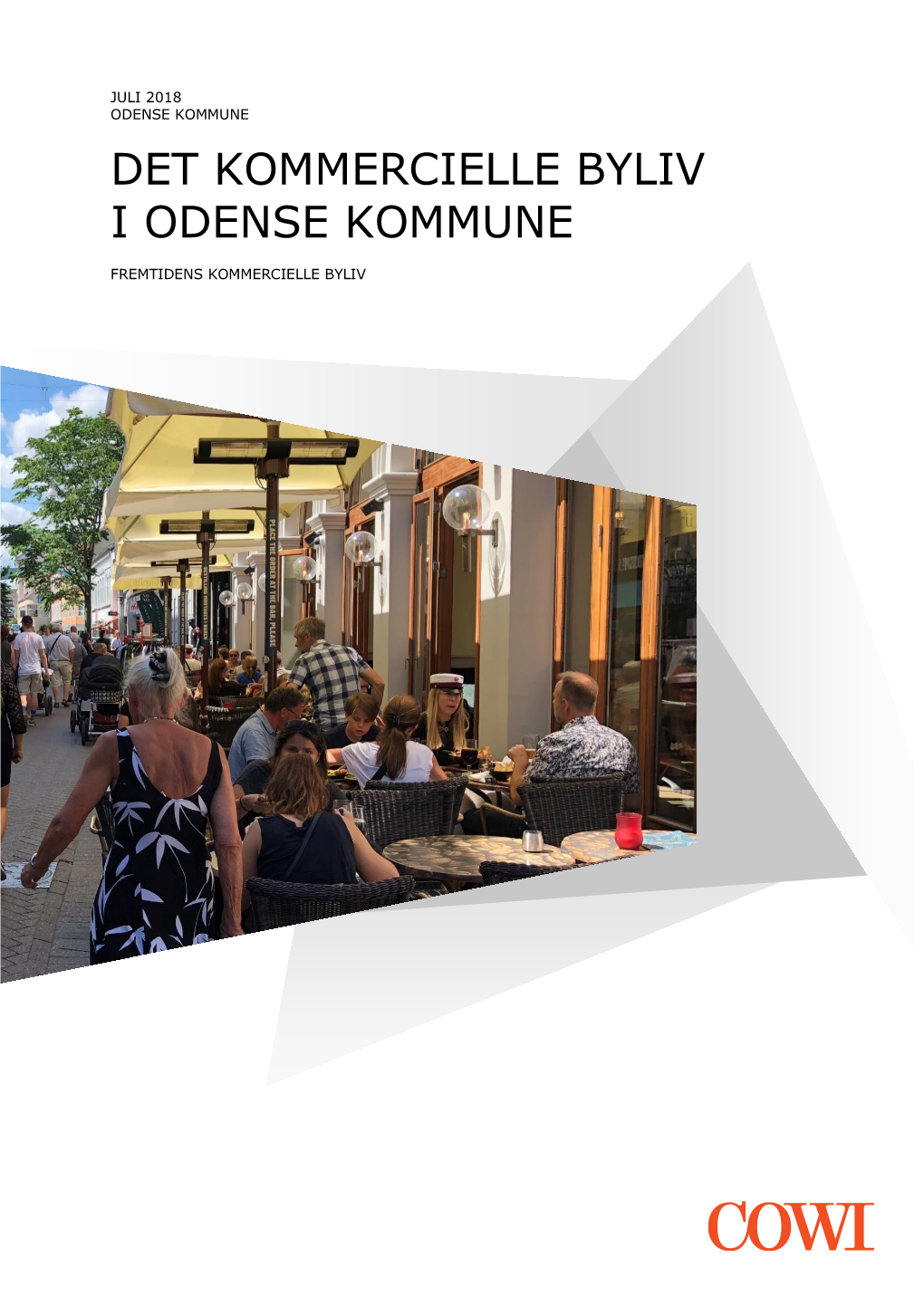 Det Kommercielle Byliv I Odense Kommune