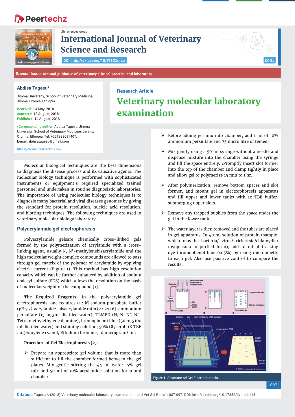 Veterinary Molecular Laboratory Examination