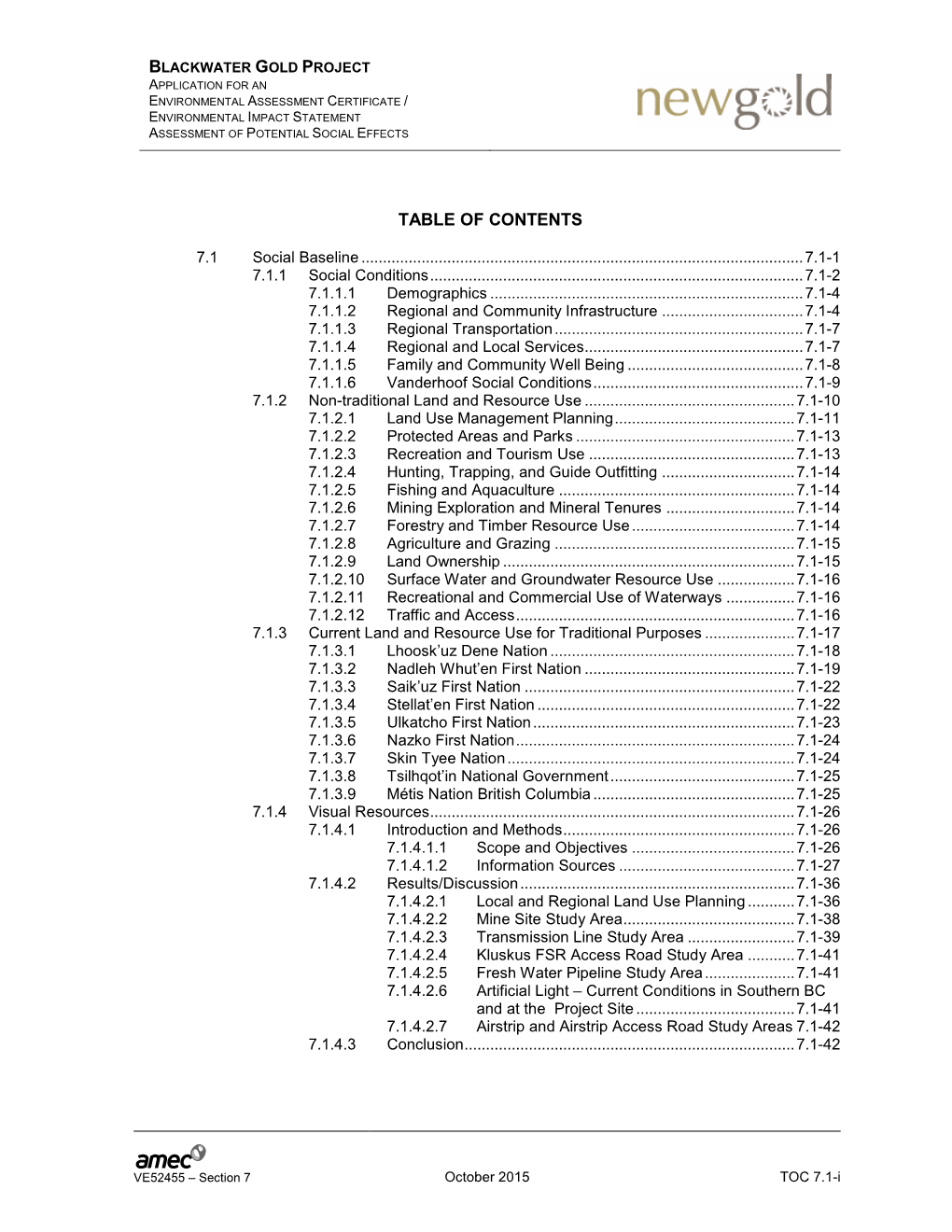 AMEC Report Template