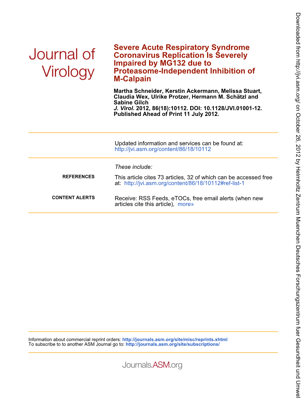 M-Calpain Proteasome-Independent Inhibition of Impaired by MG132