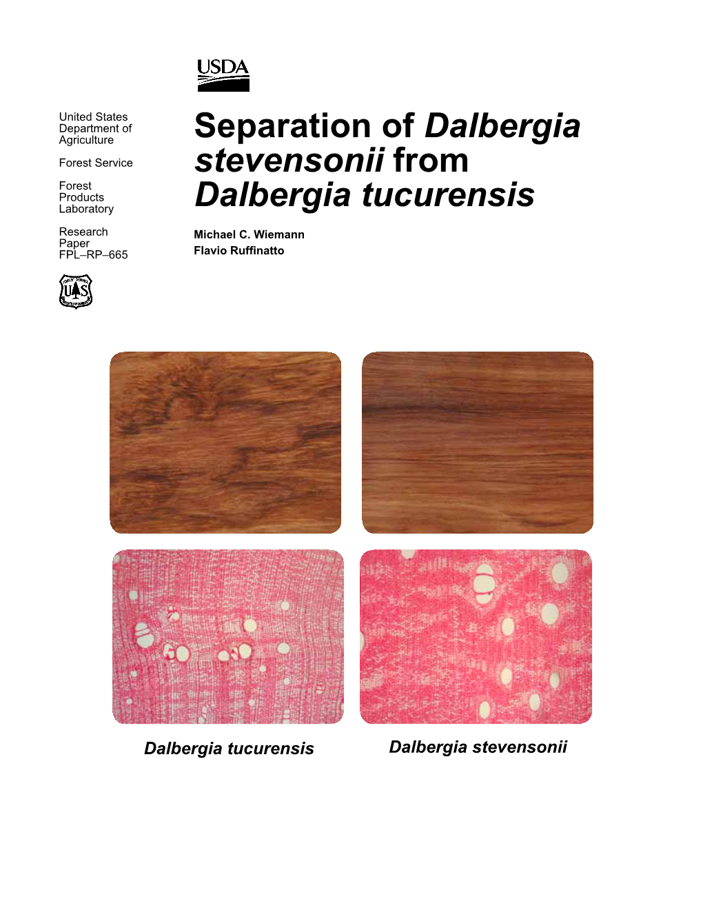 Separation of Dalbergia Stevensonii from Dalbergia Tucurensis