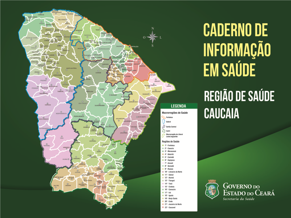 Região De Saúde Caucaia - Ceará, 2012