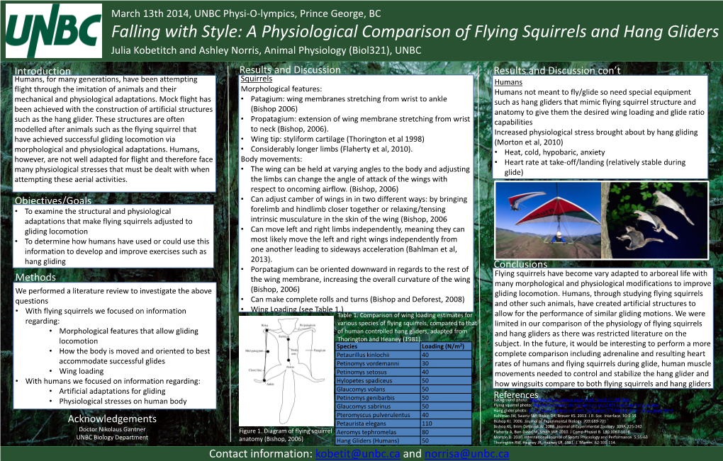 A Physiological Comparison of Flying Squirrels and Hang Gliders
