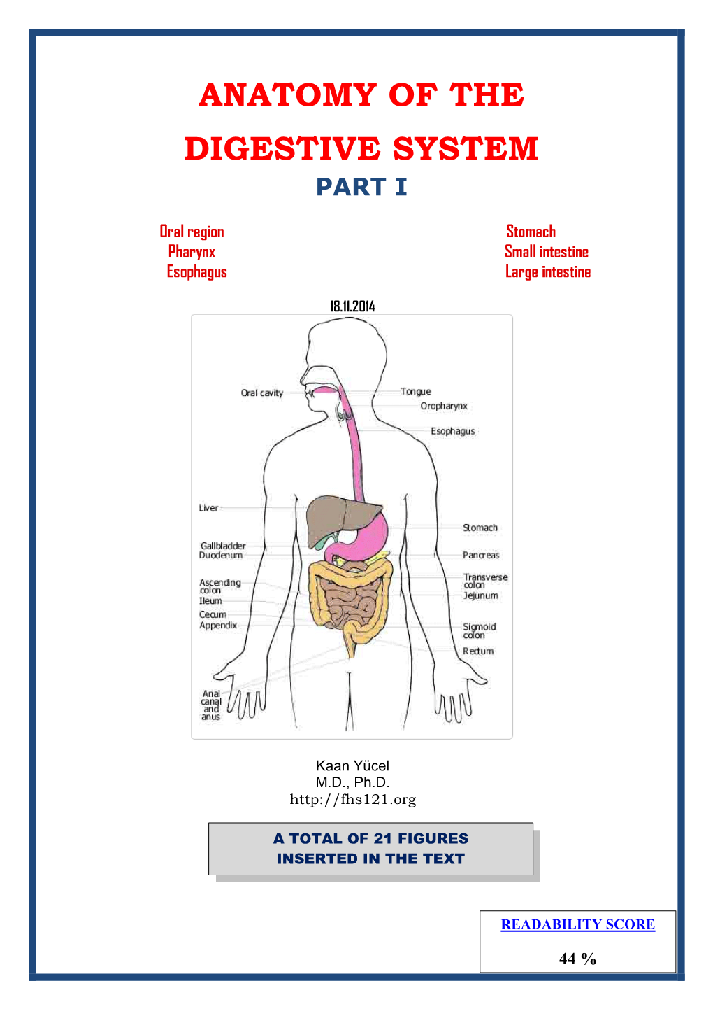 Anatomy of the Digestive System Part I