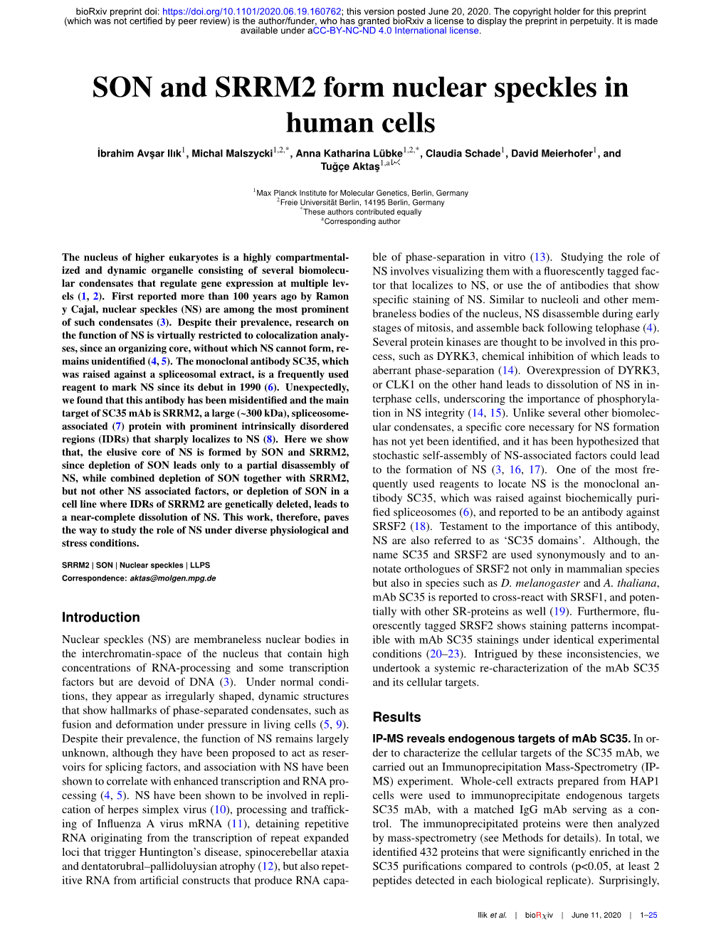 SON and SRRM2 Form Nuclear Speckles in Human Cells