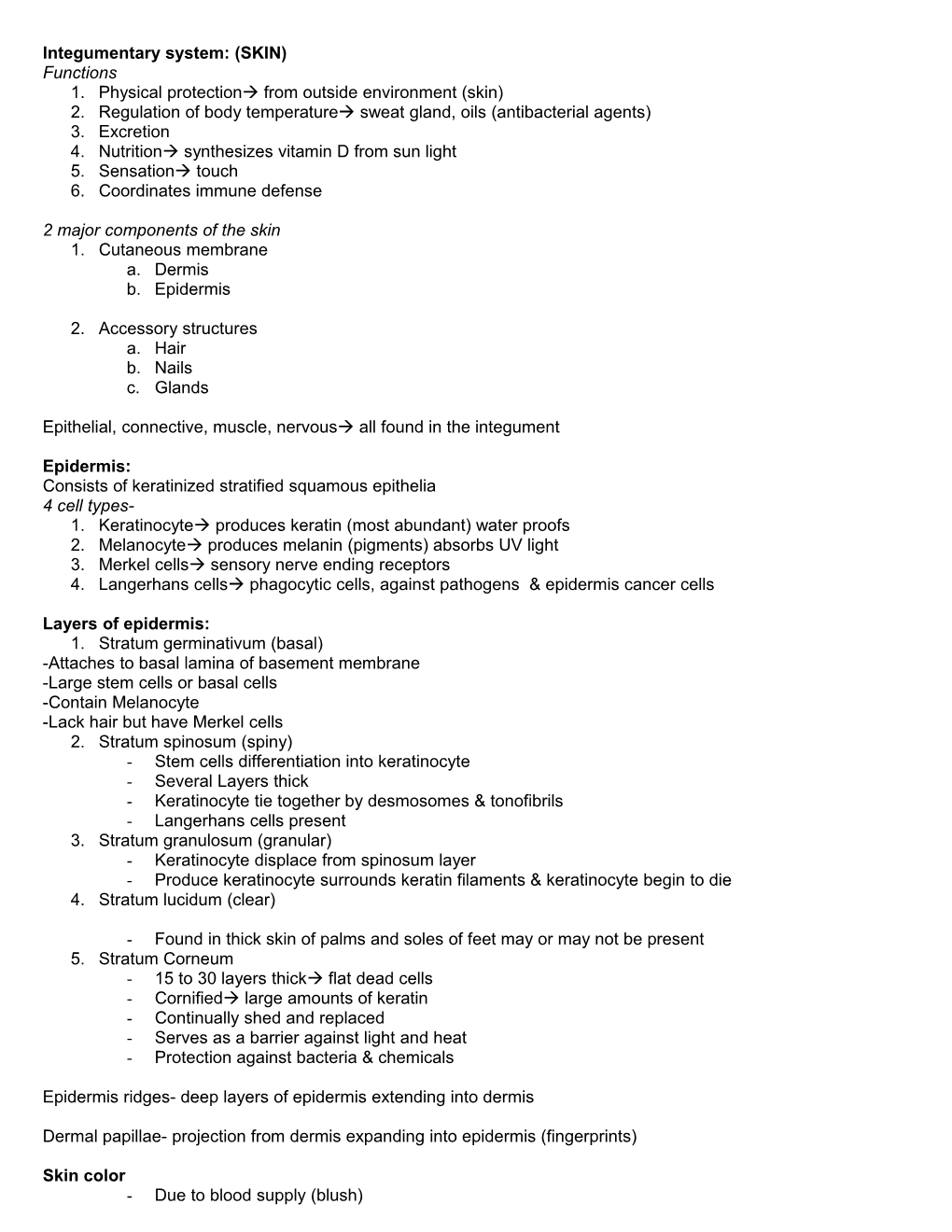 Integumentary System: (SKIN)