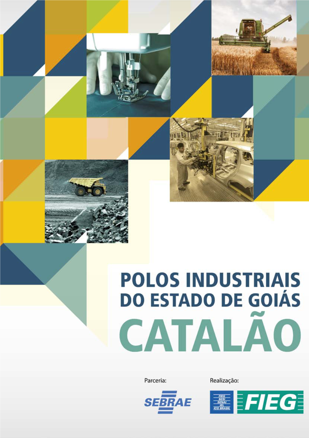 CATALÃO Federação Das Indústrias Do Estado De Goiás - FIEG