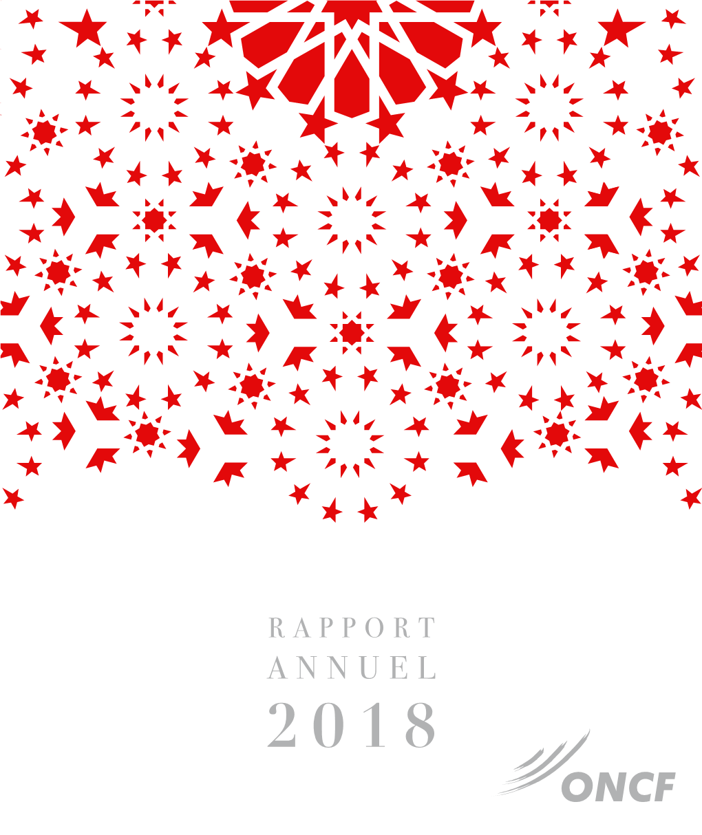 Rapport Annuel 2018.Pdf