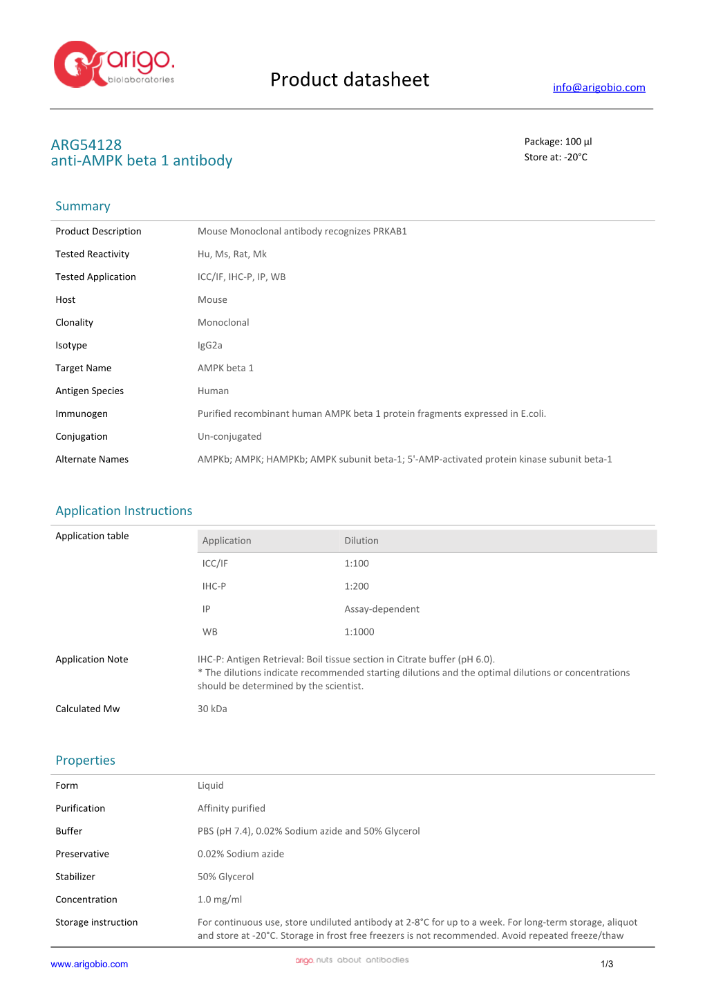 Anti-AMPK Beta 1 Antibody (ARG54128)