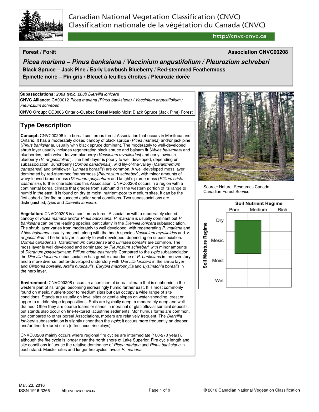 Type Description Picea Mariana – Pinus Banksiana / Vaccinium