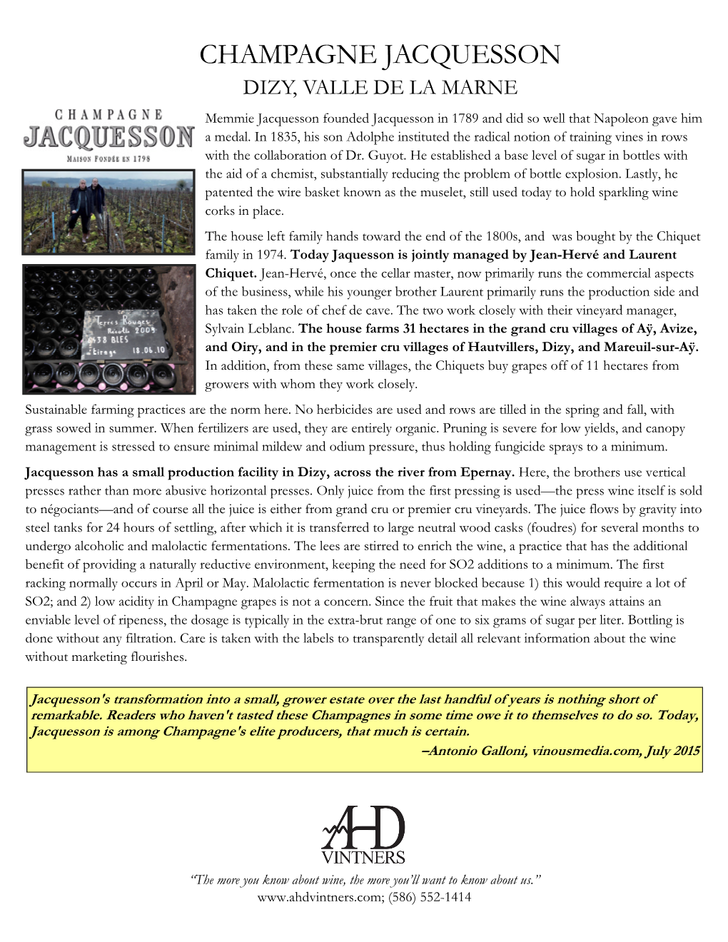 Champagne Jacquesson Producer Profile