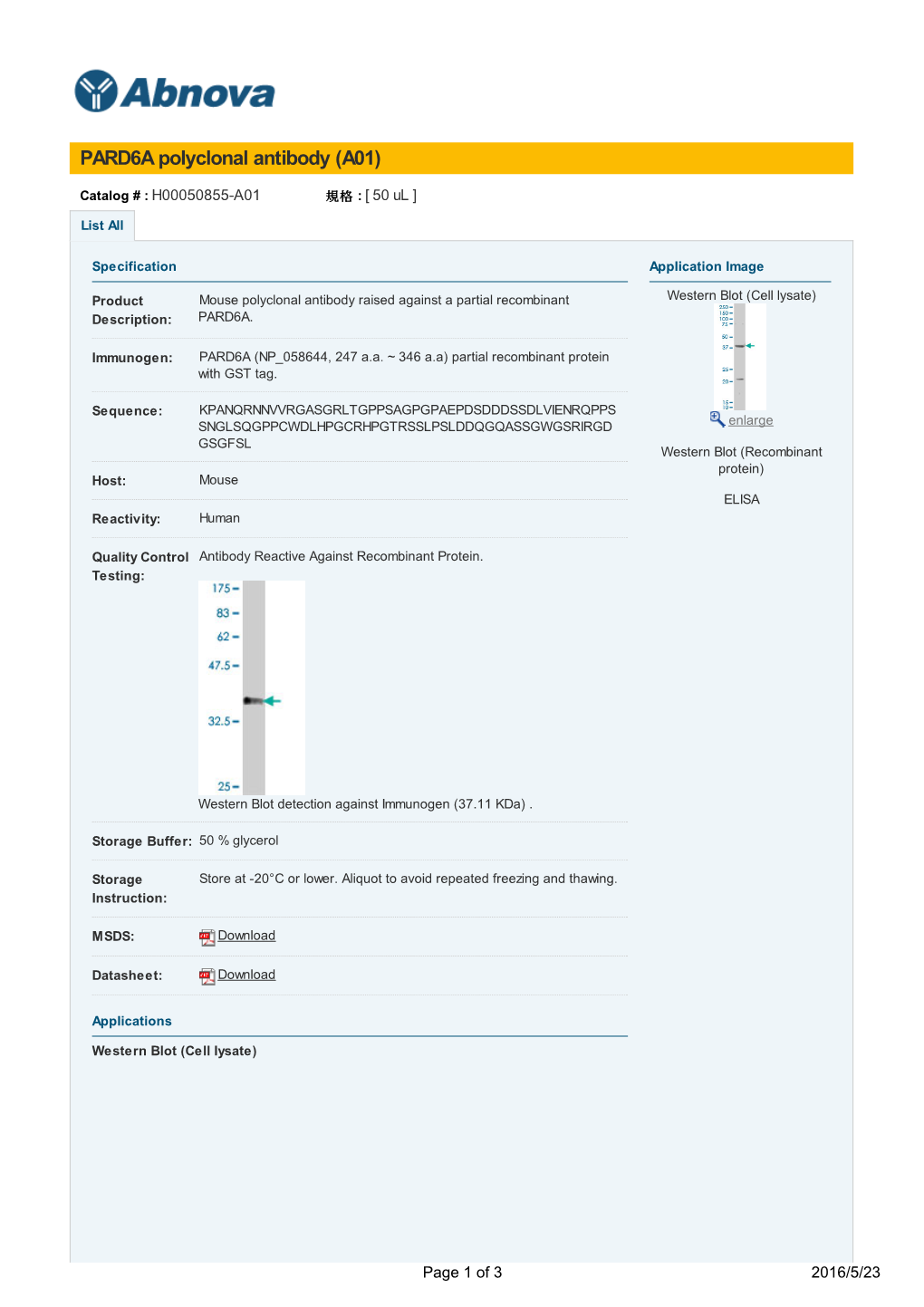 PARD6A Polyclonal Antibody (A01)