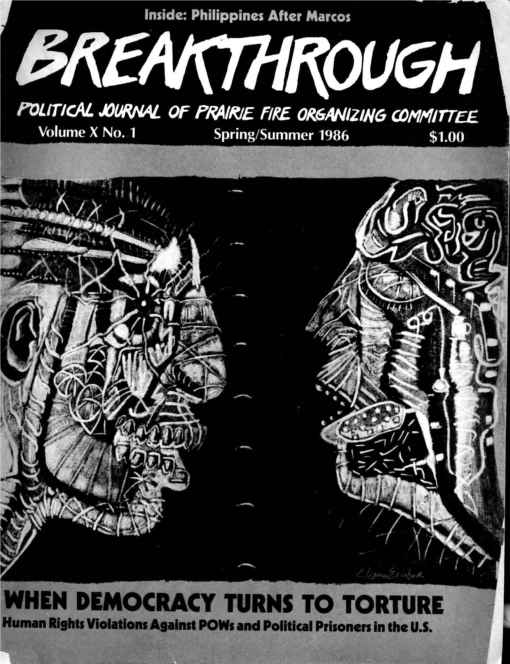 WHEN DEMOCRACY TURNS to TORTURE I Human Rights Violations Against Pows and Political Prisoners in the U.S