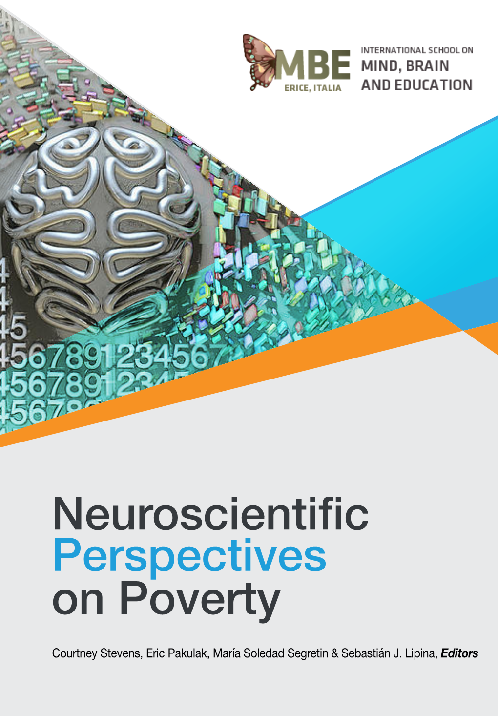 Neuroscientific Perspectives on Poverty