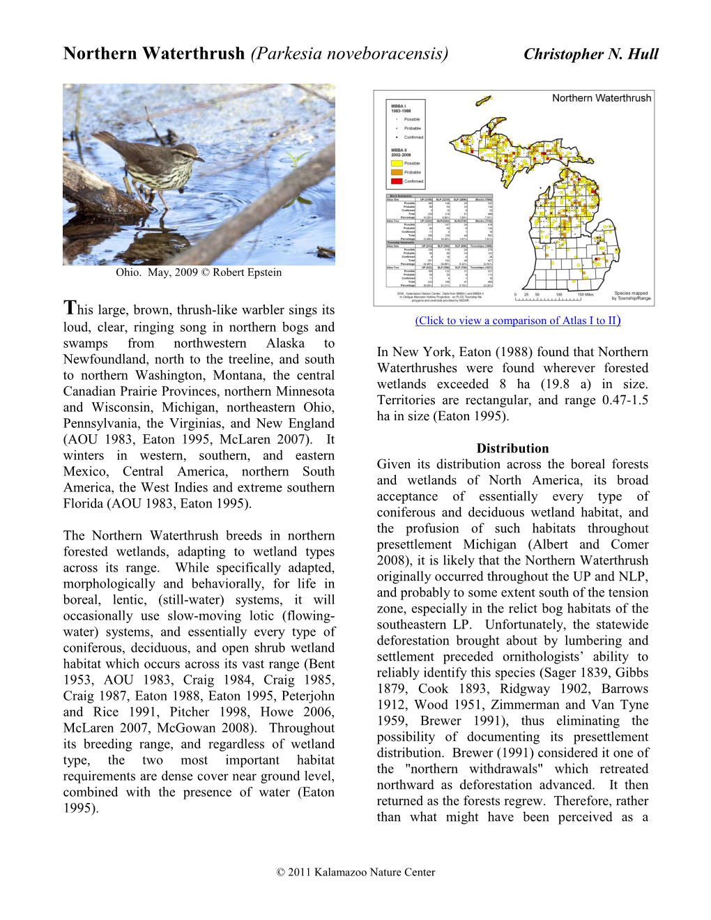 Northern Waterthrush (Parkesia Noveboracensis) Christopher N